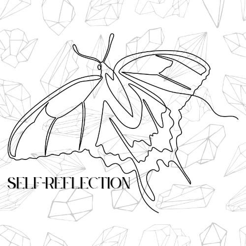 Self Reflection
