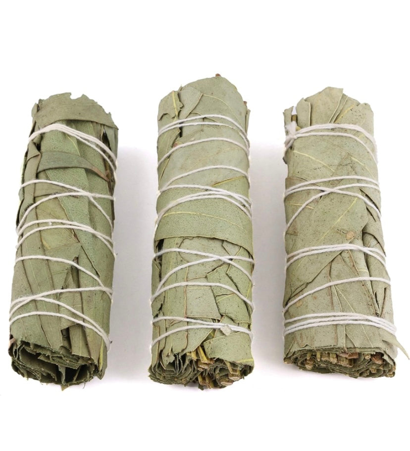 Eucalyptus